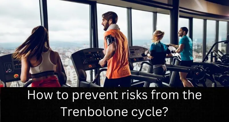 How-to-prevent-risks-from-the-Trenbolone-cycle