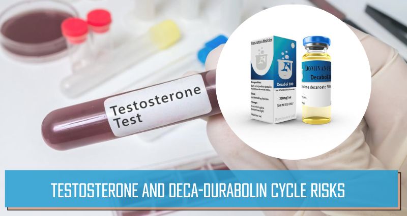 Testosterone and Deca-Durabolin Cycle Risks
