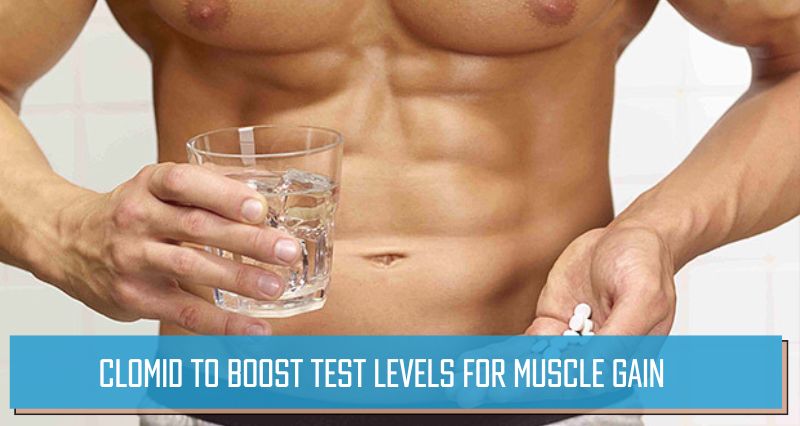 Clomid to boost Test levels for muscle gain